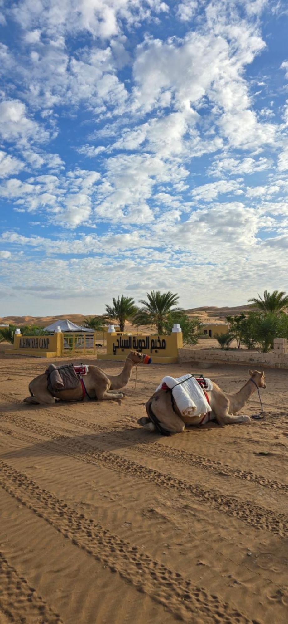 מלון Al Hawiyah Camp מראה חיצוני תמונה
